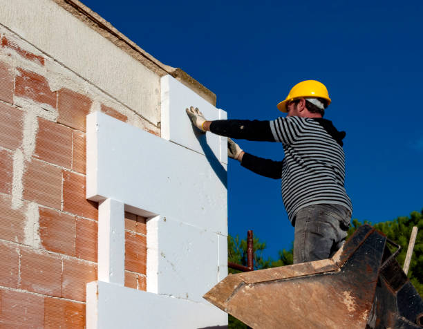 Best Insulation Maintenance and Repair in Battle Creek, NE