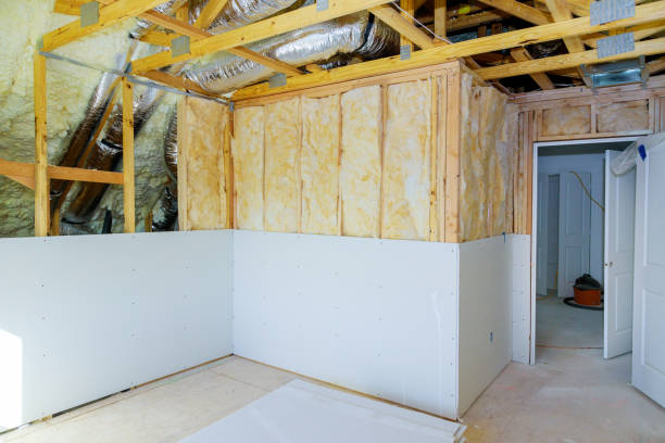 Best Geographic-Specific Insulation Services in Battle Creek, NE