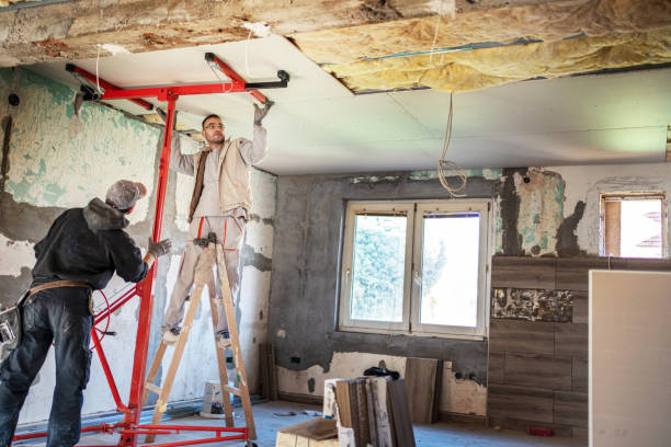 Best Cellulose Insulation in Battle Creek, NE