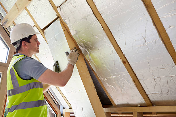 Best Eco-Friendly Insulation in Battle Creek, NE