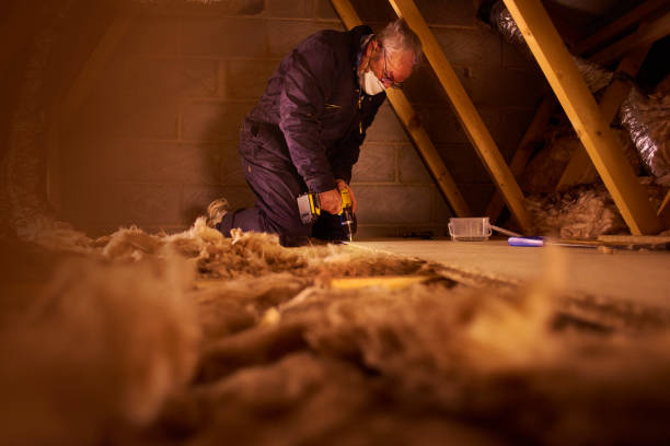 Best Residential Insulation in Battle Creek, NE